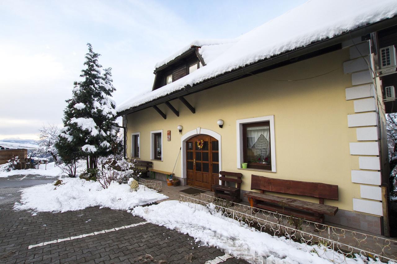 Country House Slemensek Vojnik Ngoại thất bức ảnh
