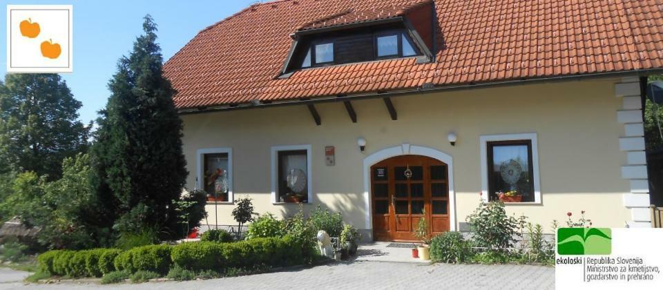 Country House Slemensek Vojnik Ngoại thất bức ảnh